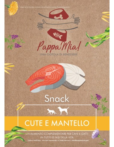 Snack al Salmone per Cute e Mantello